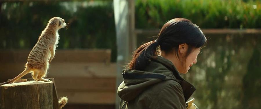 Un zoológico extraordinario